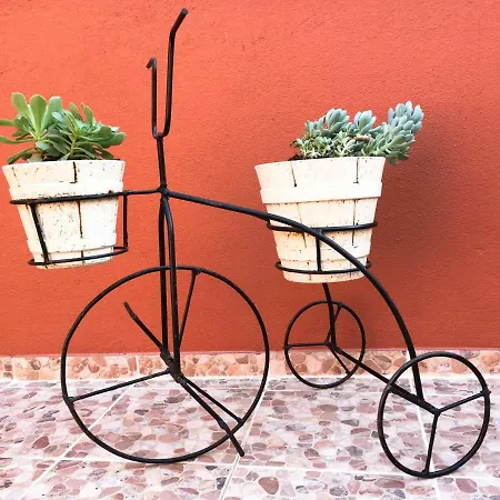 Comfort * Lisbon